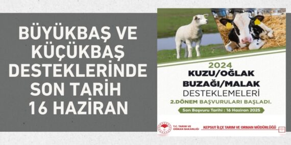 BÜYÜKBAŞ VE KÜÇÜKBAŞ DESTEKLERİNDE SON TARİH 16 HAZİRAN