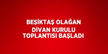 30243319002816922625tasarimli