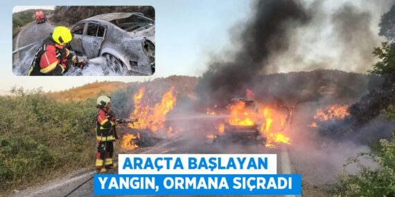Araçta başlayan yangın, ormana sıçradı