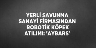 30253313052813728514tasarimli