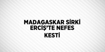 30255262992026525121tasarimli