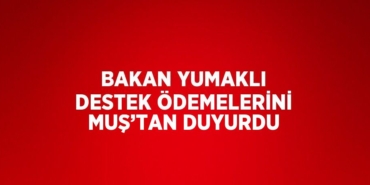30255314842408923396tasarimli