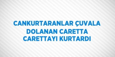 30262289402139120638tasarimli