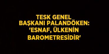 30275200212251623504tasarimli