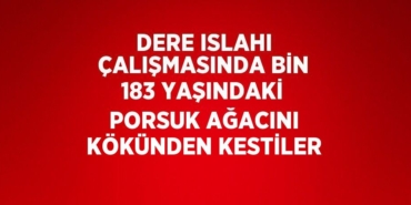 30279208533089926149tasarimli