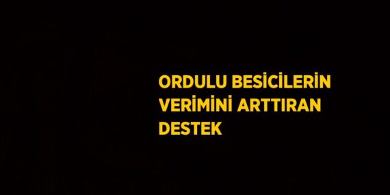 ORDULU BESİCİLERİN VERİMİNİ ARTTIRAN DESTEK