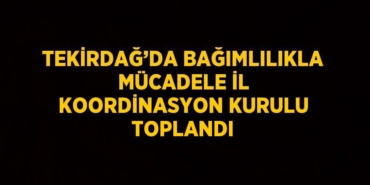 30295230392470529838tasarimli