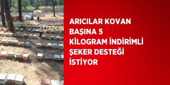 ARICILAR KOVAN BAŞINA 5 KİLOGRAM İNDİRİMLİ ŞEKER DESTEĞİ İSTİYOR