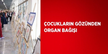 30303318012627131608