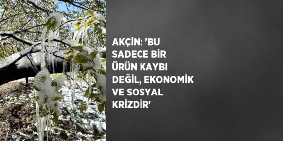 AKÇİN: ‘BU SADECE BİR ÜRÜN KAYBI DEĞİL, EKONOMİK VE SOSYAL KRİZDİR’