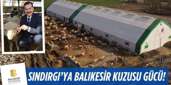SINDIRGI’YA BALIKESİR KUZUSU GÜCÜ!