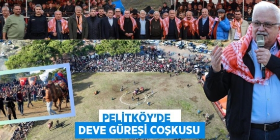 PELİTKÖY’DE   DEVE GÜREŞİ COŞKUSU