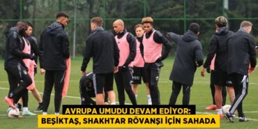 30320207982805725473tasarimli