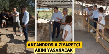 30320226592076328394tasarimli