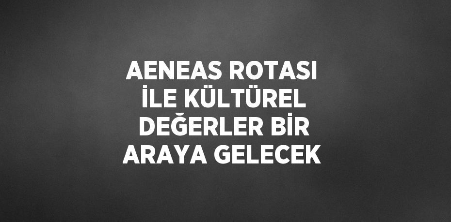 30320234342778830724tasarimli