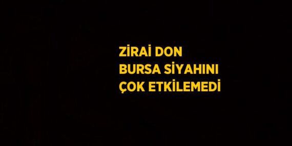 ZİRAİ DON BURSA SİYAHINI ÇOK ETKİLEMEDİ