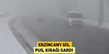 30321299312606528680tasarimli