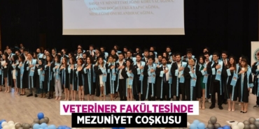30332240692468225976tasarimli