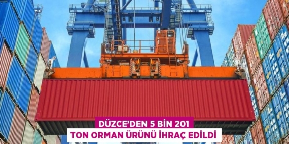 DÜZCE’DEN 5 BİN 201 TON ORMAN ÜRÜNÜ İHRAÇ EDİLDİ
