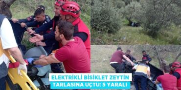 30337226012047425927tasarimli