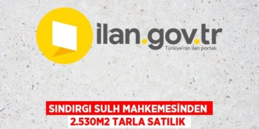 30340221183058321128tasarimli