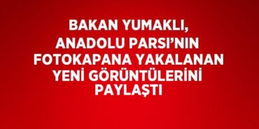 30346203152654627055tasarimli