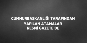 30346300052728626444tasarimli