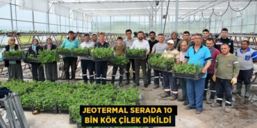 30348265682134030567tasarimli