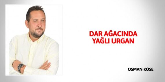 DAR AĞACINDA YAĞLI URGAN