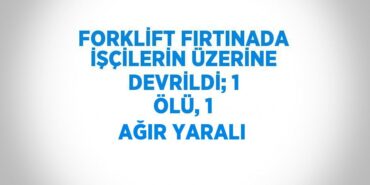 30356276453179928211tasarimli