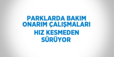 30362264222971521181tasarimli