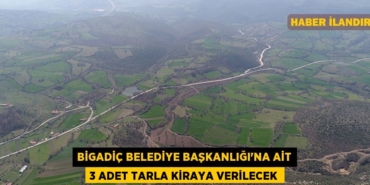 30380251092422120413tasarimli