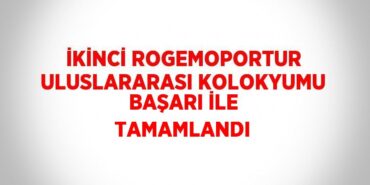 30387253282991722536tasarimli