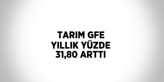 TARIM GFE YILLIK YÜZDE 31,80 ARTTI