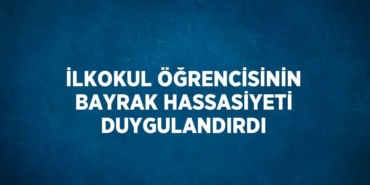30391255002126527773tasarimli