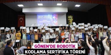 30401258172883726043tasarimli