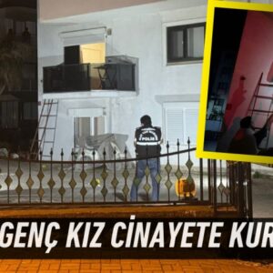 30410305793078527134