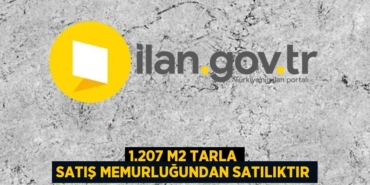 30419277652002325826tasarimli