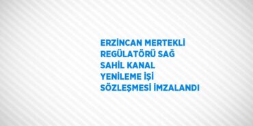 30420318682152828459