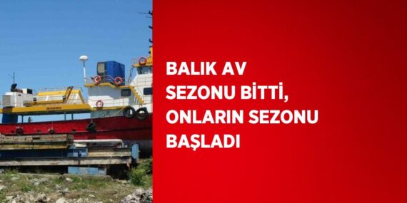 BALIK AV SEZONU BİTTİ, ONLARIN SEZONU BAŞLADI