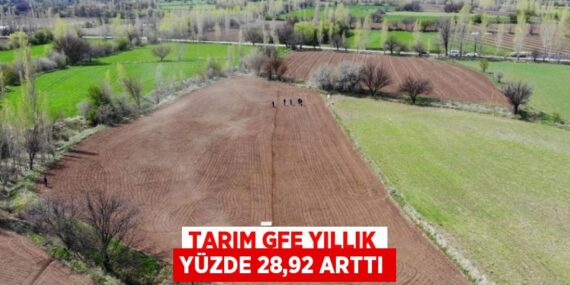 TARIM GFE YILLIK YÜZDE 28,92 ARTTI