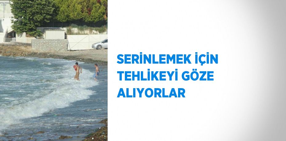 30439275012661422994