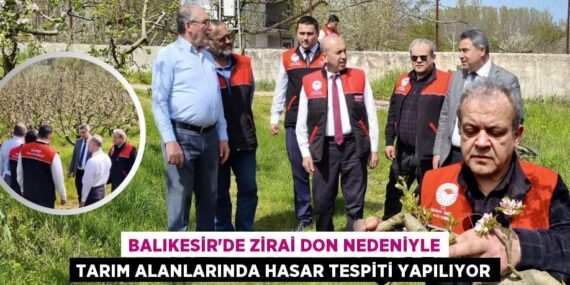 BALIKESİR’DE ZİRAİ DON NEDENİYLE TARIM ALANLARINDA HASAR TESPİTİ YAPILIYOR