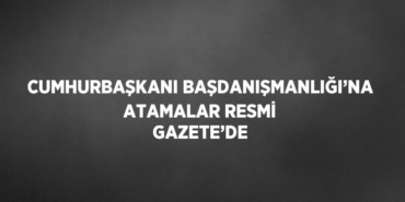 30441246622455221896tasarimli