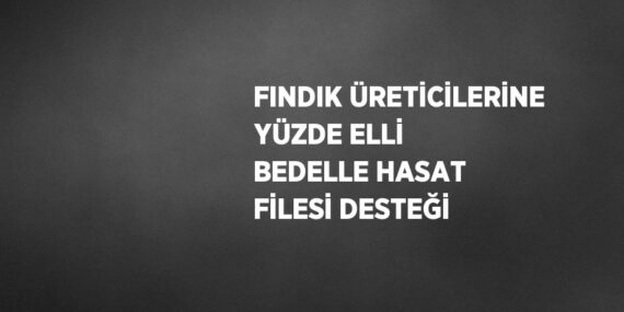 FINDIK ÜRETİCİLERİNE YÜZDE ELLİ BEDELLE HASAT FİLESİ DESTEĞİ