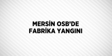 30452229212819921236tasarimli