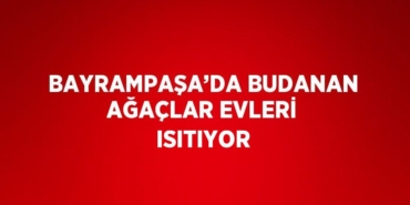 30452319592231128025tasarimli