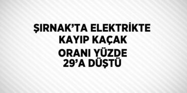 30466260292023021411tasarimli