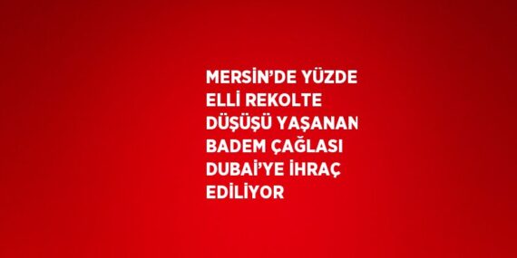 MERSİN’DE YÜZDE ELLİ REKOLTE DÜŞÜŞÜ YAŞANAN BADEM ÇAĞLASI DUBAİ’YE İHRAÇ EDİLİYOR