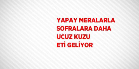 YAPAY MERALARLA SOFRALARA DAHA UCUZ KUZU ETİ GELİYOR